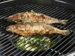 Outdoorchef Aroma Pfanne -Barbecue Grill Geschäft 18 211 71 AROMA PFANNE 03