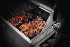 NAPOLEON Charcoal Professional, Edelstahl -Barbecue Grill Geschäft PRO605 charcoal inuse