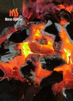 Big Green Egg Woody Holzkohle Aus Buchenholz 10 Kg -Barbecue Grill Geschäft bge 0724943369085 Buchenholzkohle 2048x2048