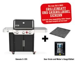 Barbecue Grill Geschäft 29 Barbecue Grill Geschäft -Barbecue Grill Geschäft webe Genesis E 335 530x480 Grill plus SearGrate 1